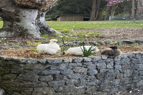 Photo of property in 79 Hone Heke Road, Kerikeri, 0230