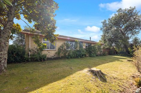 Photo of property in 100 Puataata Road, Turangi, 3334