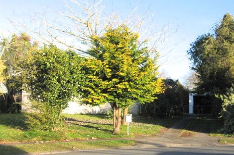 Photo of property in 25 Mcintosh Street, Chartwell, Hamilton, 3210