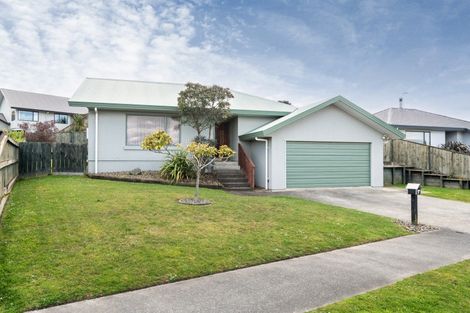 Photo of property in 62 Fraser Drive, Feilding, 4702
