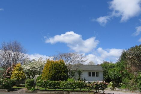 Photo of property in 56 Mere Road, Taupo, 3330