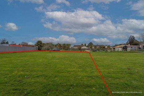 Photo of property in Upper Waingawa Road, Kaituna, Masterton, 5888