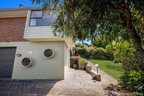 Photo of property in 12 Stirling Place, Dinsdale, Hamilton, 3204