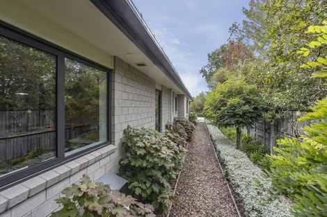 Photo of property in 21b Burnett Street, Oxford, 7430