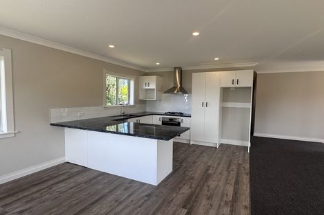 Photo of property in 84a Hastings Street, Halcombe, 4779