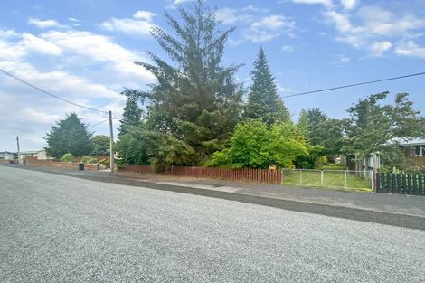 Photo of property in 55 Rata Road, Twizel, 7901