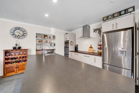 Photo of property in 195 Turuturu Road, Hawera, 4674