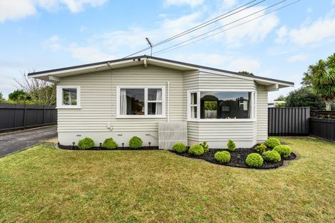 Photo of property in 41 Fitzroy Avenue, Fitzroy, Hamilton, 3206