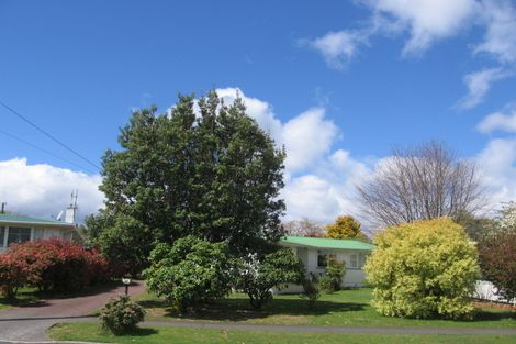 Photo of property in 54 Mere Road, Taupo, 3330