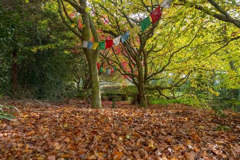 Photo of property in 175 Forest Road, Oruanui, Taupo, 3384