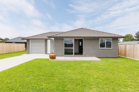 Photo of property in 35 Oldfield Lane, Marton, 4710