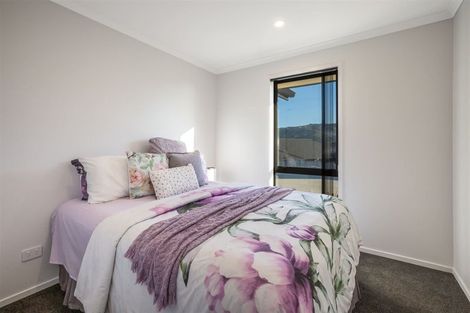 Photo of property in 83 John Burke Drive, Aotea, Porirua, 5024