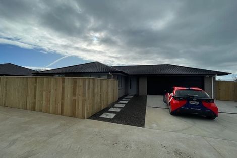 Photo of property in 55a Fenton Street, Stratford, 4332