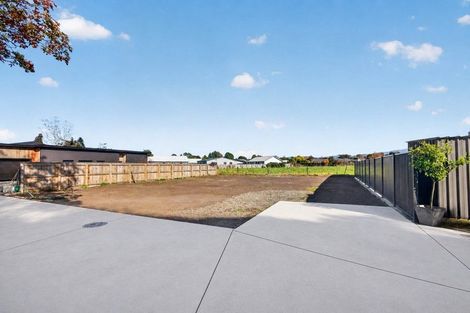 Photo of property in 42d Colville Street, Masterton, 5810