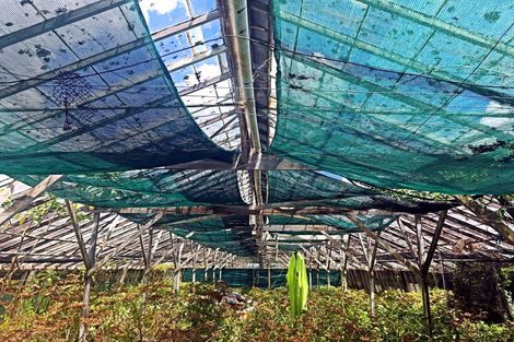 Photo of property in 30 Norana Avenue, Favona, Auckland, 2024