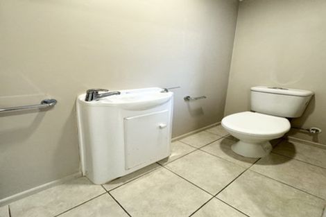 Photo of property in 21a Madison Place, Forrest Hill, Auckland, 0620