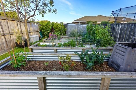 Photo of property in 324 Manly Street, Paraparaumu Beach, Paraparaumu, 5032