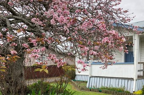 Photo of property in 56 Station Road, Paeroa, 3600