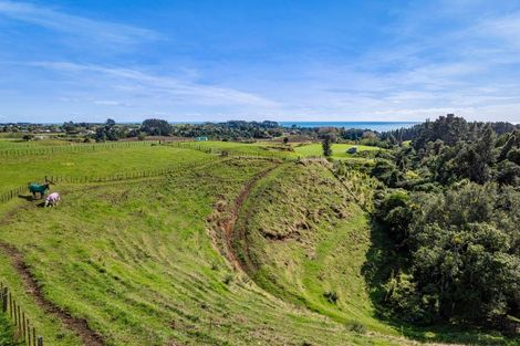 Photo of property in 51 Wilson Road, Urenui, 4375