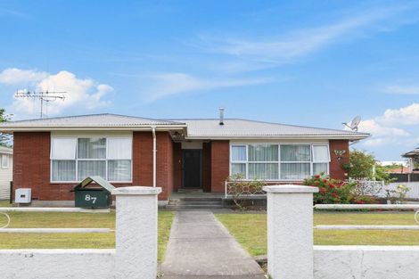 Photo of property in 87 Manaia Street, Tokoroa, 3420