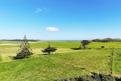Photo of property in 1000 Redhill Road, Te Kopuru, Dargaville, 0371