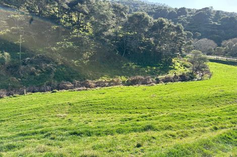 Photo of property in 305 Waingaro Road, Ngaruawahia, 3793