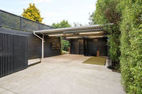 Photo of property in 21 Dinsdale Road, Dinsdale, Hamilton, 3204