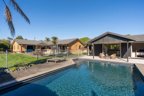 Photo of property in 61a Saint Kilda Road, Cambridge, 3434