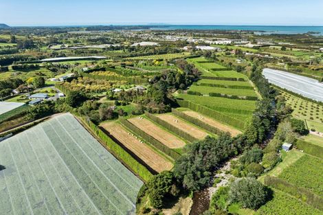 Photo of property in 85 Wharawhara Road, Tahawai, Katikati, 3178