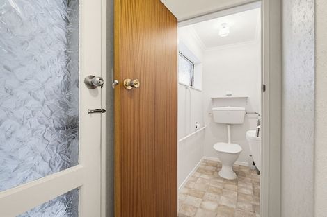 Photo of property in 45 Dittmer Drive, Awapuni, Palmerston North, 4412