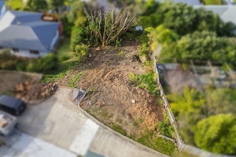 Photo of property in 58d Lincoln Avenue, Tawa, Wellington, 5028