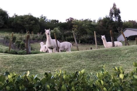 Photo of property in 14 Lakeview Terrace, Taradale, Napier, 4112