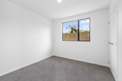 Photo of property in 155u4 Rimu Street, Maeroa, Hamilton, 3200