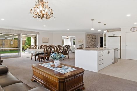 Photo of property in 11 Allington Place, Bethlehem, Tauranga, 3110