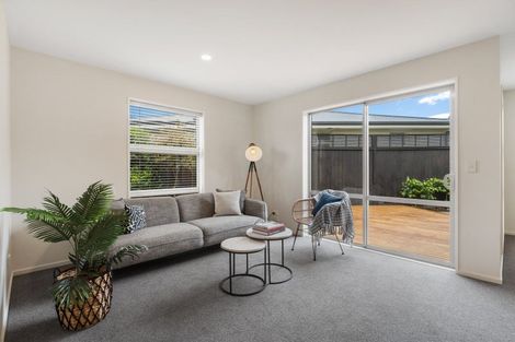 Photo of property in 42b Lindsay Street, St Albans, Christchurch, 8014