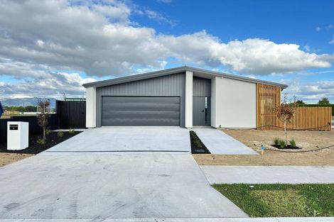 Photo of property in 51 Rangitihi Street, Matamata, 3400