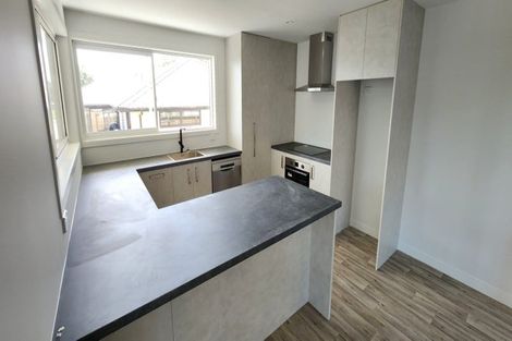 Photo of property in 119a Hamlet Street, Stratford, 4332