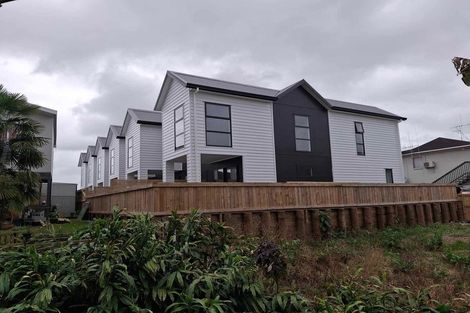 Photo of property in 149 Nixon Street, Hamilton East, Hamilton, 3216