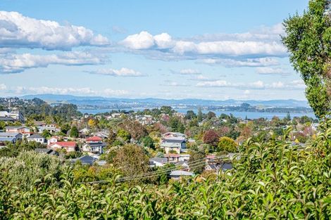 Photo of property in 195 Golf Road, Titirangi, Auckland, 0604