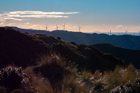 Photo of property in Long Gully Farm, 500 Hawkins Hill Road, Brooklyn, Wellington, 6021