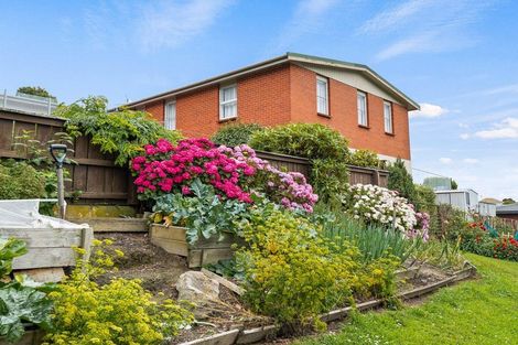 Photo of property in 133 Doon Street, Waverley, Dunedin, 9013