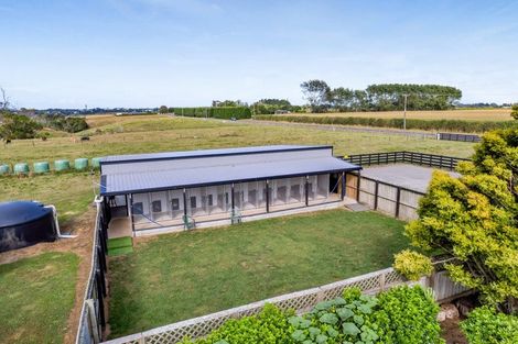 Photo of property in 242 Tawhiti Road, Hawera, 4672
