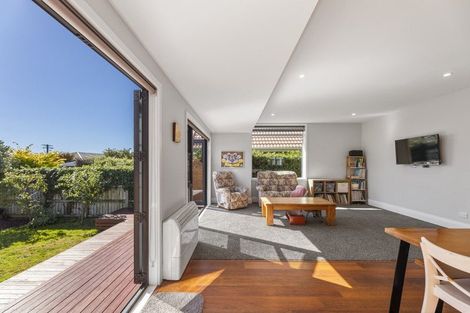 Photo of property in 19 Ings Avenue, Saint Clair, Dunedin, 9012