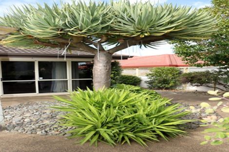 Photo of property in 14b Rosberg Place, Mount Maunganui, 3116