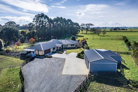 Photo of property in 255 Calico Line, Marton, 4787