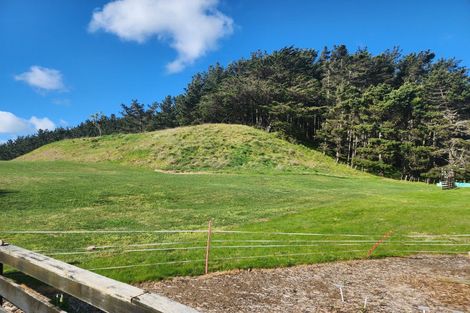 Photo of property in 4 Maury Place, Foxton, 4814