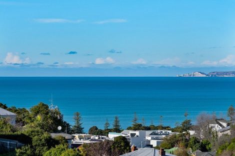 Photo of property in 6 Fitzroy Road, Bluff Hill, Napier, 4110