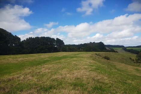 Photo of property in 725 Golden Stairs Road, Mareretu, Maungaturoto, 0589