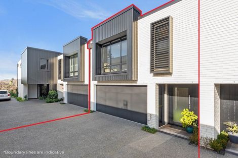 Photo of property in 21u2 Manning Street, Hamilton Central, Hamilton, 3204