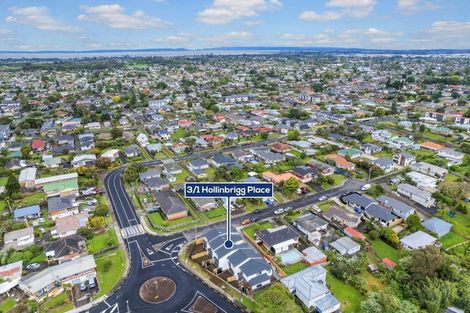 Photo of property in 1c Hollinbrigg Place, Manurewa, Auckland, 2102